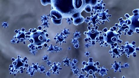 Image result for Immune System Virus