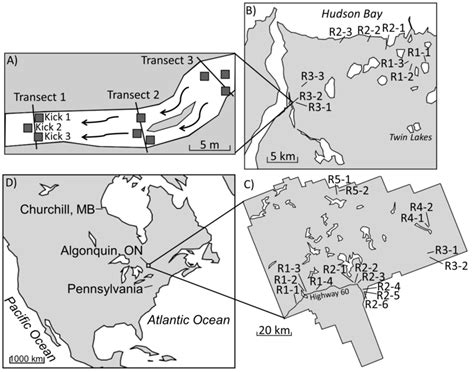 Spatial Sampling に対する画像結果