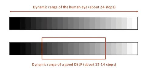 Image result for Dynamic Range Windows