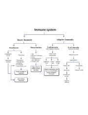 Afbeeldingsresultaten voor Adaptive Immunity Flow Chart