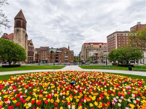 Image result for New Writing Paper