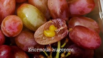 Toradh íomhá ar Taskmaster 1 Disgused