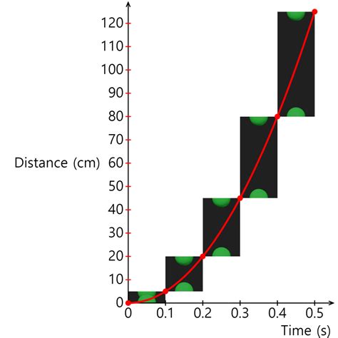 Image result for Free Fall Graph