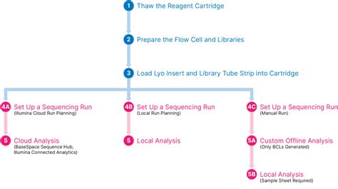 Image result for DNA Isolation to Sequencing Workflow