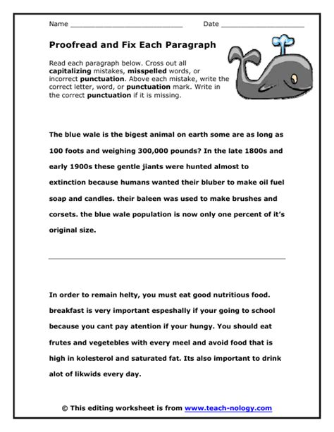 Image result for Editing Paragraph Examples