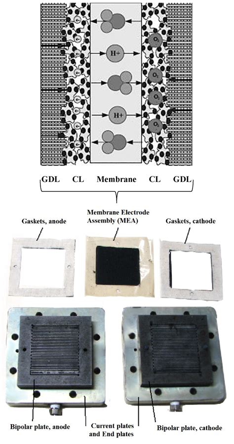 Image result for Fuel Cell Components