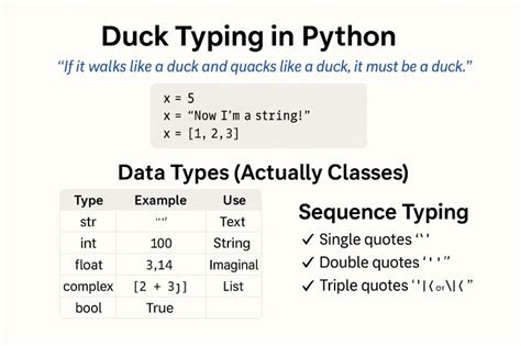 Image result for Duck Typing in Python Memes