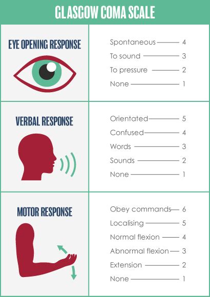 Image result for Glasgow Coma Scale