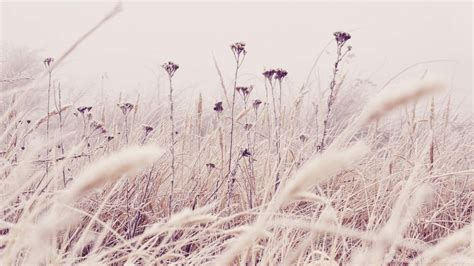 Image result for Subtle Pastel Desktop Background