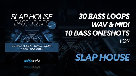 Image result for Bass Loop