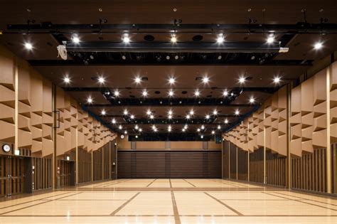 Afbeeldingsresultaten voor Multi-Purpose Hall Ceiling