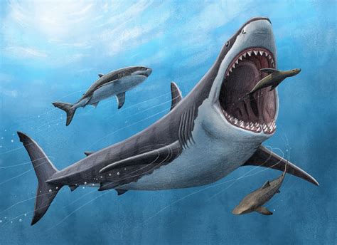 Image result for Megalodon Snake