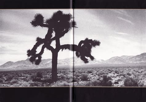 Joshua Tree 1987 に対する画像結果
