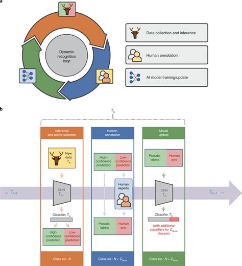 Image result for Animal Classification Using Artificial Intelligence