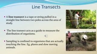 Afbeeldingsresultaten voor Line Transect Sampling Method