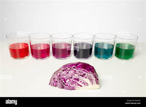 Afbeeldingsresultaten voor Buffer Experiment Using Red Cabbage Juice