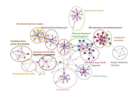 Image result for Gene Module