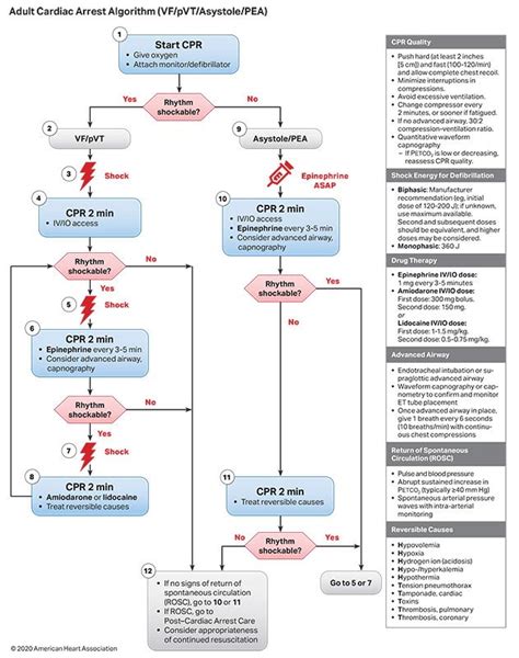 Image result for Als Algorithm Heart Block