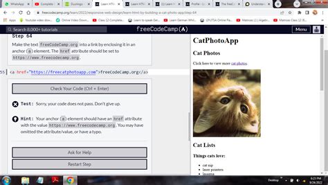 Image result for Freecodecamp Step 64