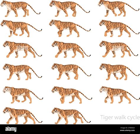 Image result for Vector Animation Keyframe