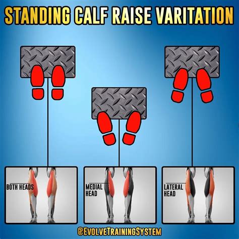 Afbeeldingsresultaten voor Different Types of Leg Raises