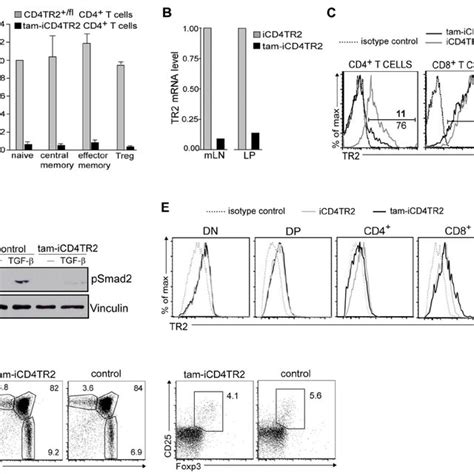 Afbeeldingsresultaten voor Creer Tarmoxifen