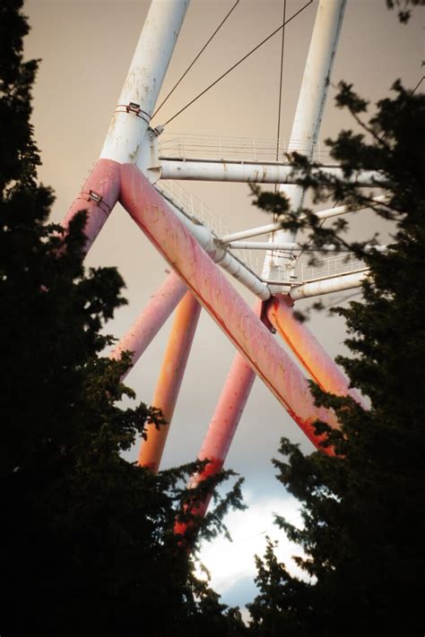 Image result for What Is Frame of Color in Photgraphy