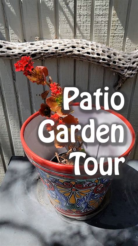 Toradh íomhá ar Patio Tour Script