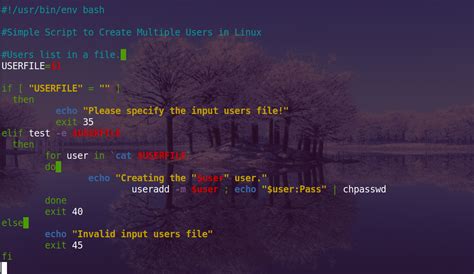 How to Create User Bash Script in Linex に対する画像結果