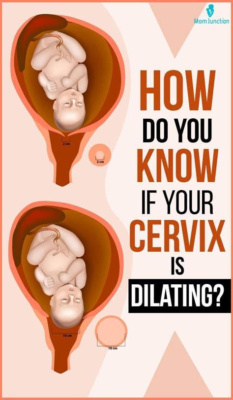 Afbeeldingsresultaten voor How to Check Cervix Visual