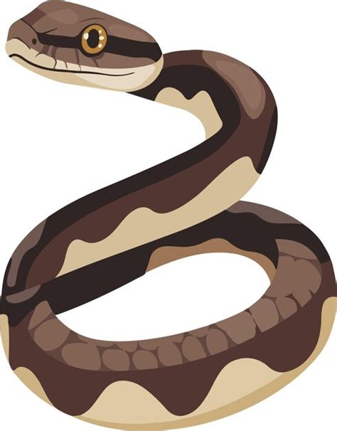 Image result for Snake Open Mouth Vector