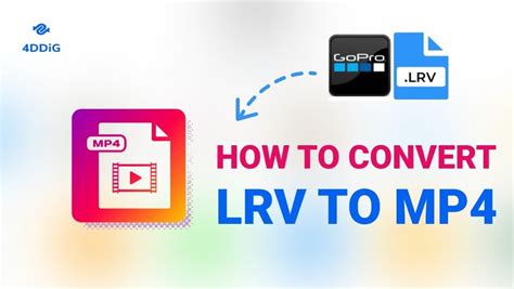 نتيجة الصورة لـ What Is a LRV File