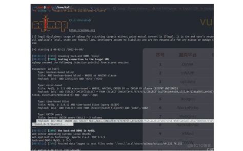 Sqlmap Example 的图像结果