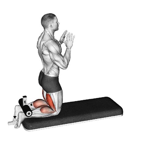 Hamstring Curls Exercise に対する画像結果