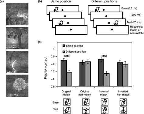 Image result for Base Testing Work