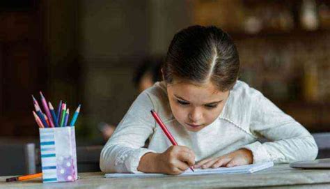 Image result for Example of a School Project