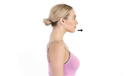 Bildergebnis für Protraction Muscles