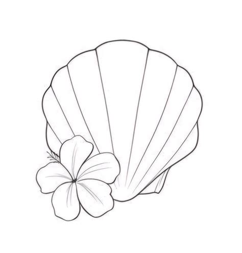 Image result for Small Shell Drawing
