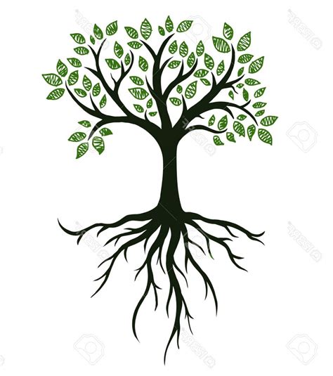 Toradh íomhá ar Tree with Roots Icon