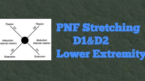 D1 PNF Pattern に対する画像結果