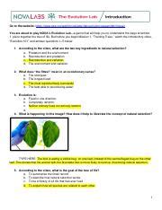 Image result for Evolution Lab Answer Key