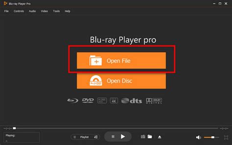 Toradh íomhá ar How to Open FLV File