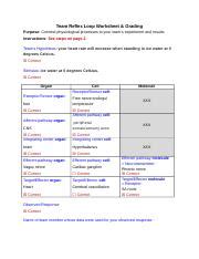 Feedback Loop Worksheet に対する画像結果
