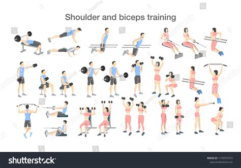 Image result for Bicep Workout Chart