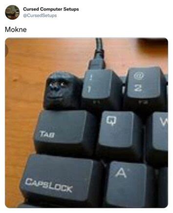 Cursed Computer Images Meme に対する画像結果