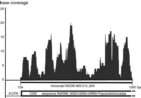 Image result for Per Base Coverage Distribution