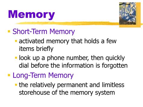Image result for Short-Term Memory Working Memory Long-Term Memory