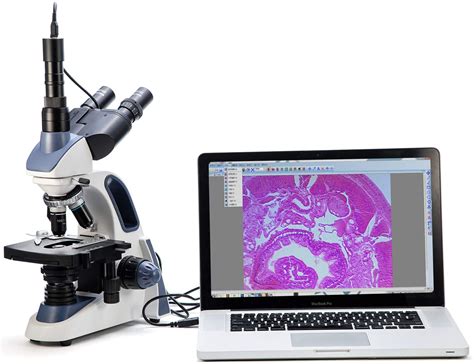 Image result for Best Computer Compound Microscope