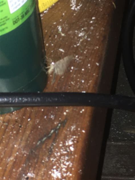 Slug Test Packer に対する画像結果