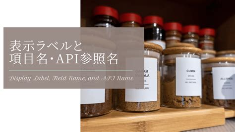 What Is Salesforce Software に対する画像結果